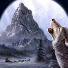 Схема вышивки «волк одиночка»