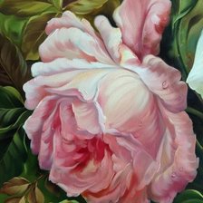 Схема вышивки «роза»