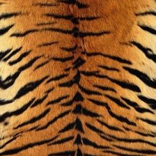 Схема вышивки «анимал принт 3»