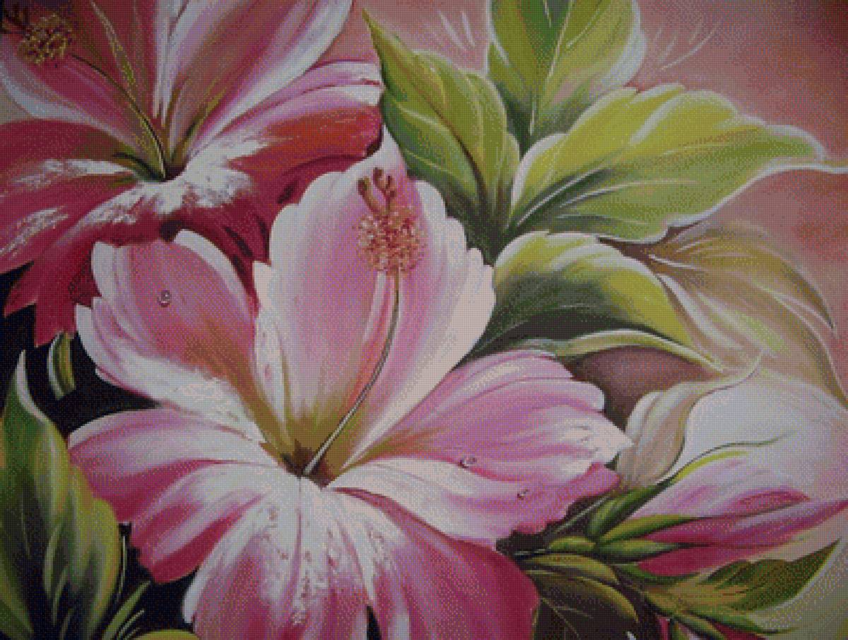 гибискус - предпросмотр