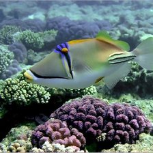 Схема вышивки «Подводный мир»