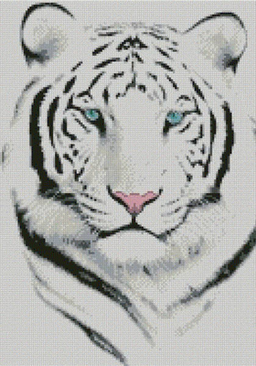 Белый тигр - тигр - предпросмотр