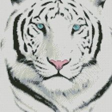 Белый тигр
