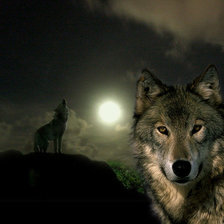 Схема вышивки «Волк»