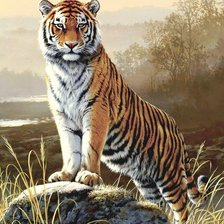 Схема вышивки «тигр»