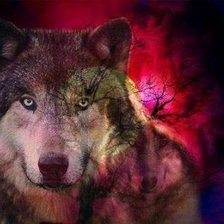 Схема вышивки «Чувства»