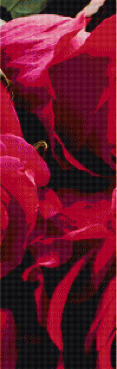 Розы Часть 3 - розы, 5 частей, картина - предпросмотр