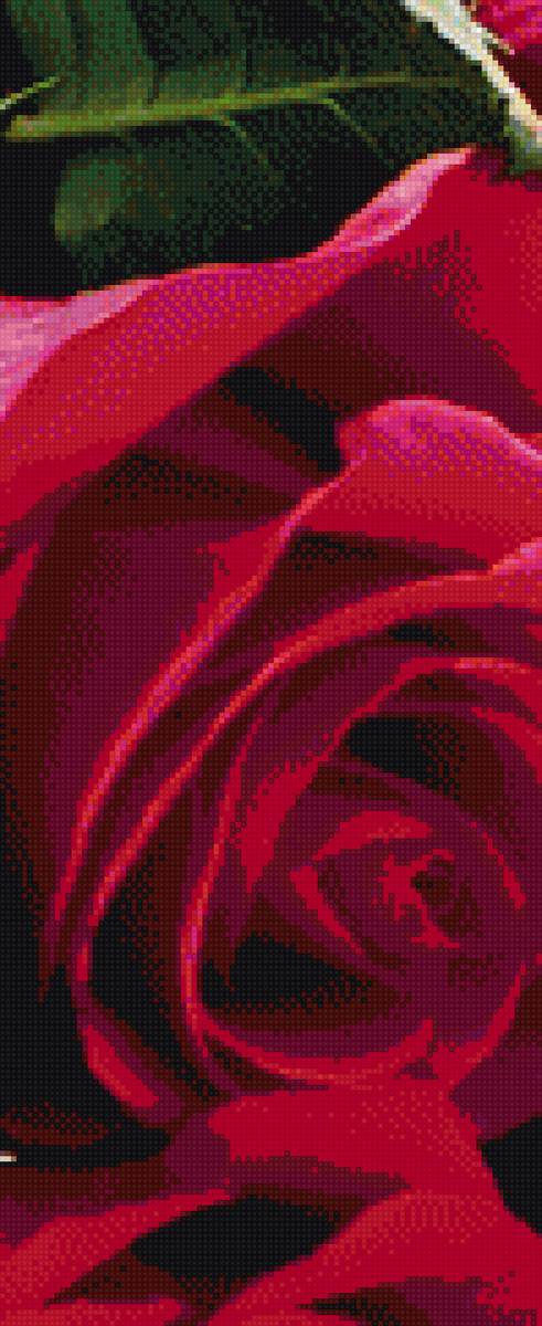 Розы Часть 2 - картина, 5 частей, розы - предпросмотр