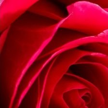 Схема вышивки «Розы Часть 2»