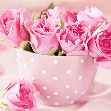 Схема вышивки «Розы в чашке»