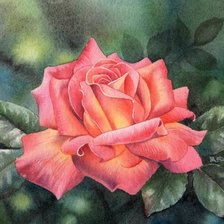 Схема вышивки «роза»