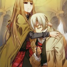 Схема вышивки «холо»