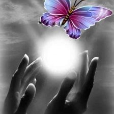 Схема вышивки «Бабочка»