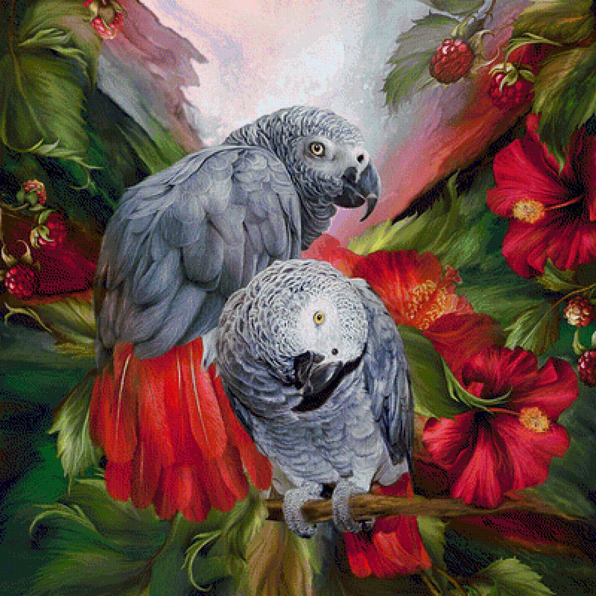 Попугаи - предпросмотр