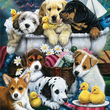 Схема вышивки «Милые щенки»