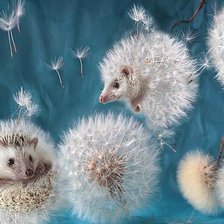 Схема вышивки «195»