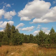 Родной край