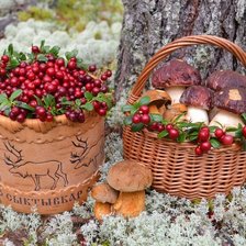 Схема вышивки «дары природы»