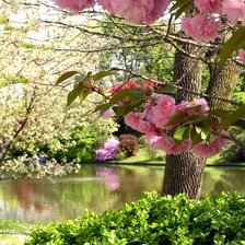 Схема вышивки «весна»