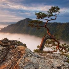 Схема вышивки «Пейзаж»