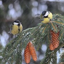Схема вышивки «синички»