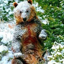 Схема вышивки «мишка»