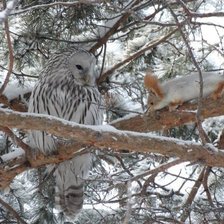 Схема вышивки «друзья»