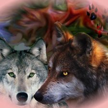 Схема вышивки «Пара волков»