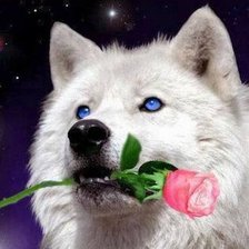 Схема вышивки «Романтик»