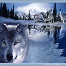 Схема вышивки «Стая»