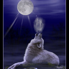 Схема вышивки «Волчий вой»