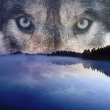 Схема вышивки «Взгляд»