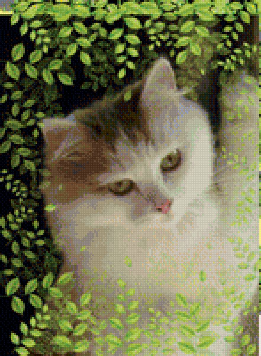 Кошечка - предпросмотр