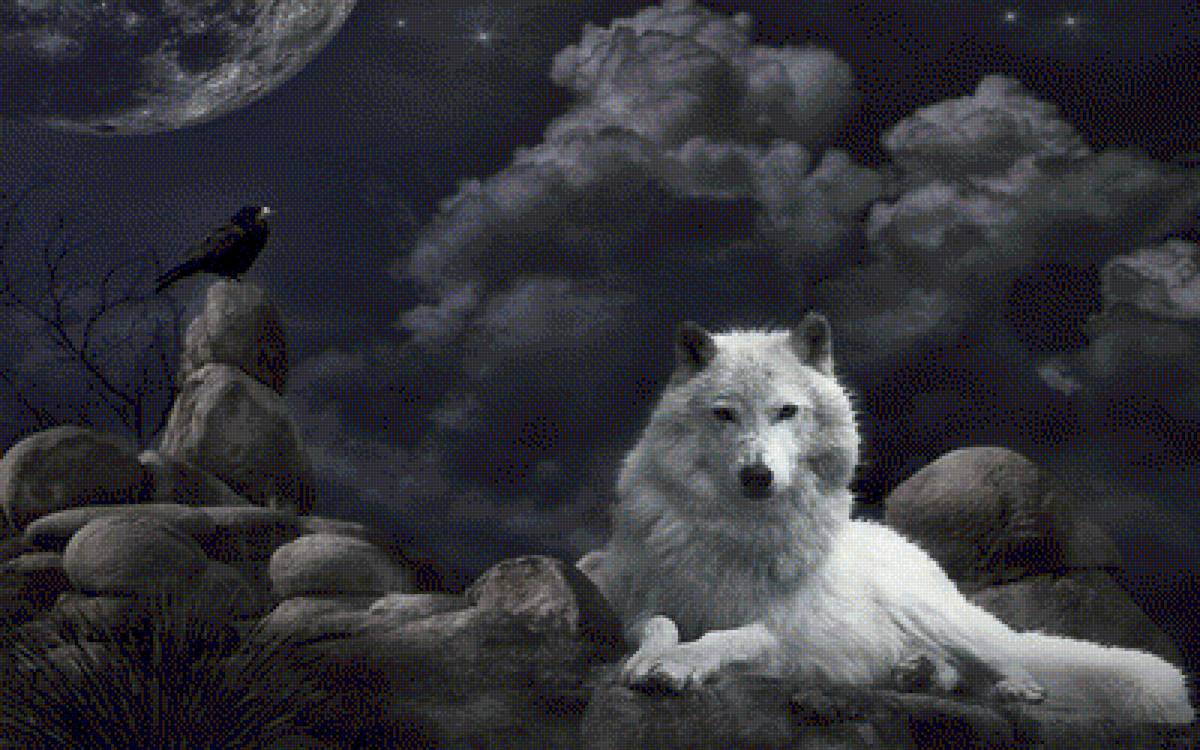 Ворон и волчица - животные, волки - предпросмотр