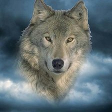 Схема вышивки «Волчий дух»