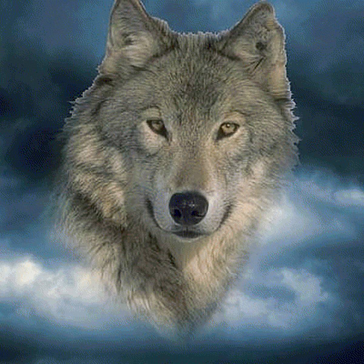 Волчий дух2 - волк - предпросмотр