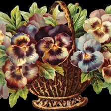 Схема вышивки «Анютины глазки»