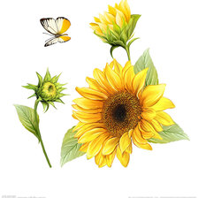 Схема вышивки «№1373914»