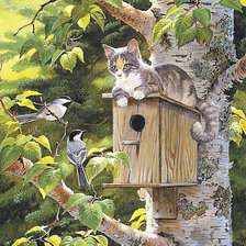 Схема вышивки «221»