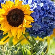 Схема вышивки «подсолнух»