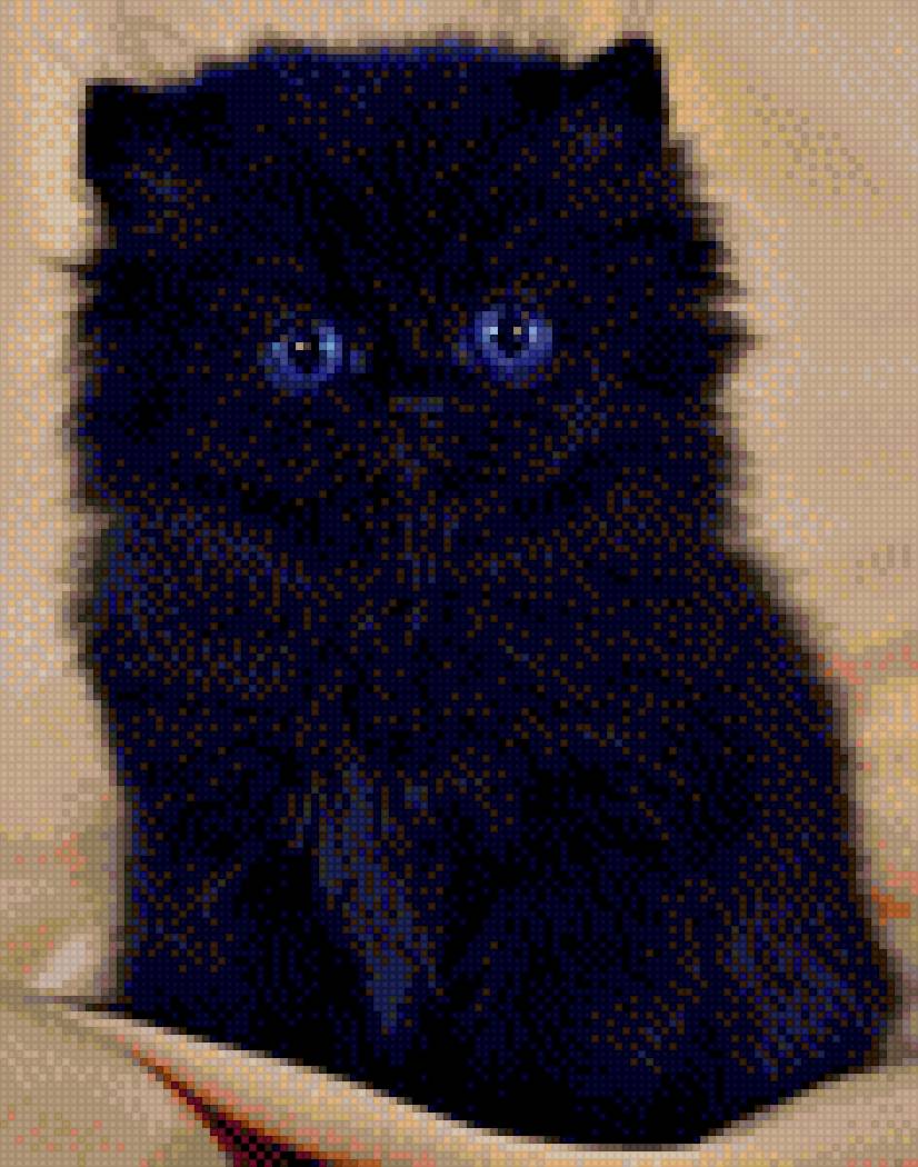 котёнок - котенок, малыш, черный - предпросмотр