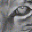 Предпросмотр схемы вышивки «№1374906»