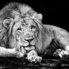 Схема вышивки «№1374927»