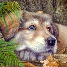 Схема вышивки «Щенок»