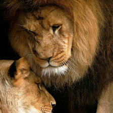 Схема вышивки «№1375801»