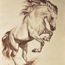 Схема вышивки «№1375817»