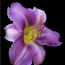 Схема вышивки «№1376042»