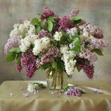 Схема вышивки «Сирень»