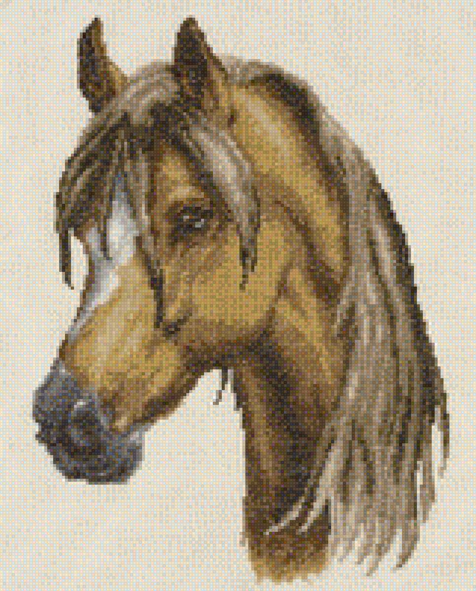 Лошадь - предпросмотр