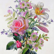 Схема вышивки «247»